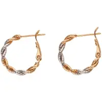 Gaya Oorbellen rose-goud / zilver