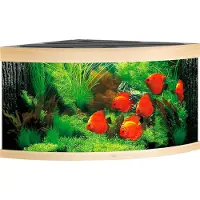 Gebr. De Boon Juwel aquarium Trigon 350 LED met filter licht eiken Juwel
