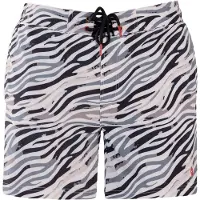 Frozen Cape Zwemshorts grijs