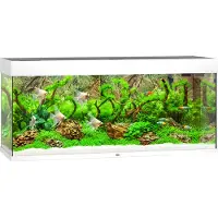 Juwel aquarium Rio 240 LED met filter wit Juwel