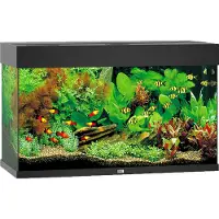 Juwel aquarium Rio 125 LED met filter zwart Juwel