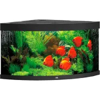 Gebr. De Boon Juwel aquarium Trigon 350 LED met filter zwart Juwel