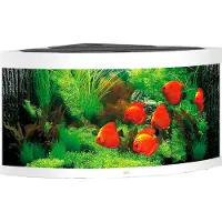 Gebr. De Boon Juwel aquarium Trigon 350 LED met filter wit Juwel