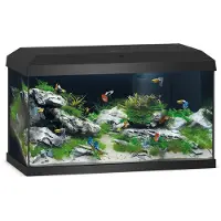 Juwel Aquarium Primo