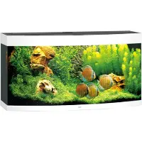 Juwel aquarium Vision 260 LED met filter wit Juwel
