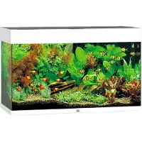 Juwel aquarium Rio 125 LED met filter wit Juwel