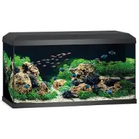Juwel Aquarium Primo