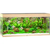 Juwel aquarium Rio 240 LED met filter licht eiken Juwel
