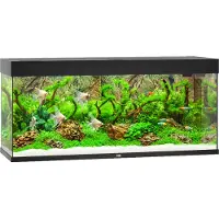Juwel aquarium Rio 240 LED met filter zwart Juwel