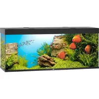 Juwel aquarium Rio 450 LED met filter zwart Juwel