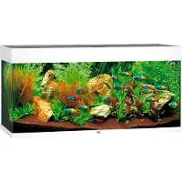 Juwel aquarium Rio 180 LED met filter wit Juwel