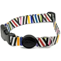 Morsø halsband voor hond gerecycled spaghetti incident 37-58x2,5 cm