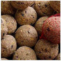 KLASEBO Mezenbollen met Insecten, 100 stuks, Vogelvoer, Vetbollen
