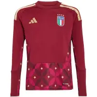 Adidas Functioneel shirt 'Italy 26 Home Goalkeeper Kids Long Sleeve' gemengde kleuren / rood