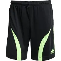 Adidas Originals Broek 'Teamgeist Adicolor' lichtgroen / zwart