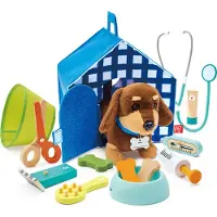 Hape Dierenarts Speelset - Interactieve puppy, dierenartskoffertje en hondenhok, 16 delig, 3 jaar+