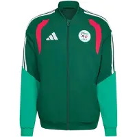 Adidas Algeria 26/27 Presentation Jacket Groen S / Regular Man