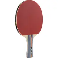Joola Team School Tafeltennisbatje: Perfect voor Beginners en Schoolgebruik