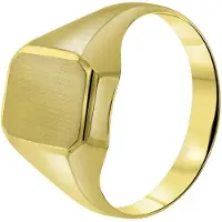 Lucardi Heren 14 Karaat geelgouden zegelring zeskant - Ring - 14 Karaat Goud - Geelgoud - 19 / 60 mm