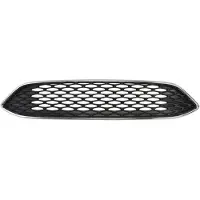 BLIC 6502-07-253699AP Radiator grill