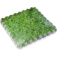 Gre Accessories Pool Floor Protector 8 Mm 9 Units Groen 50 x 50 cm