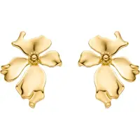 Luxenter Oorbellen 'Haiqua' goud