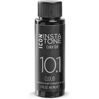 I.C.O.N. Permanent Colour Creme Insta Tone (60 ml) - 10.1