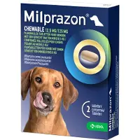 Krka Chewable 12,5 mg / 125 mg hond 2 tabletten