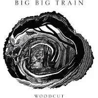 Sony music Big Big Train- Woodcut (LP)