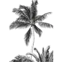 Overig Fotobehang Retro Palm - Meerkleurig - 2,80m X 200cm
