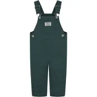 Levi's Kids Green Levi'scarpenter Overa - Bistro | Maat: 68