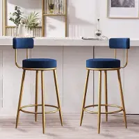 Novi at Home Luxe Barkrukken Set van 2 | Barstoelen op Barhoogte met Comfortabele Rugleuning en Gouden Metalen Poten | Ideaal voor Keuken, Woonkamer, Bistro, Bar en Pub | Hoogwaardige Fluwelen Zitting 65 cm
