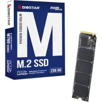 Biostar SSD M760, 256 GB
