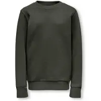 Only & Sons Junior Sweatshirt 'OSJCeres' donkergroen