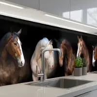 KitchenYeah Keuken achterwand 250x60 cm - Spatscherm zelfklevend Paard - Dieren - Zwart - Muurbeschermer - Spatwand fornuis