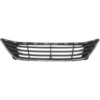 BLIC 6502-07-3171911P Ventilatiegrille, bumper