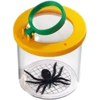 Safari Ltd How Insects See! Figure Veelkleurig Kinderen