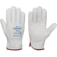 Proway Protection Driver PWH-1519V