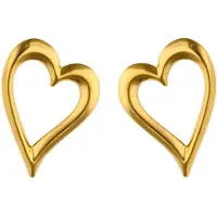 NAEMI Oorbellen goud