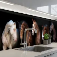 KitchenYeah Keuken achterwand 500x80 cm - Spatscherm zelfklevend Paard - Dieren - Zwart - Muurbeschermer - Spatwand fornuis