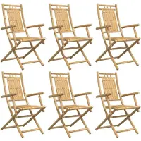 vidaXL Tuinstoelen 6 st inklapbaar 53x66x99 bamboe