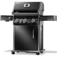Napoleon Rogue PRO 425
