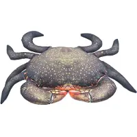 Gaby Het Modderkrab Medium Kussen Zilver