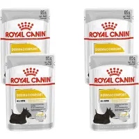 Royal Canin Dermacomfort Wet Hond 48x 85g