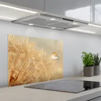 KitchenYeah Spatscherm 70x55 cm - Zelfklevende achterwand Paardenbloem - Water - Natuur - Planten - Modern - Keuken muurbeschermer - Spatwand fornuis