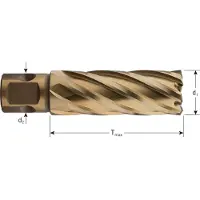 Rotec HSS-XE Kernboor GOLD-LINE, universeel 19, ø36x55 - 5373601