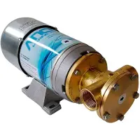 Ancor Bg80 80 Lt/min Bilge Pump 24v Goud 345 x 135 x 180 mm