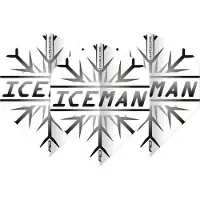 Red Dragon Gerwyn Price Grey Snowflake - Dart Flights