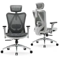 Sihoo M57 Ergonomische Bureaustoel - Verstelbare Lendensteun - 3D Armleuning - Hoogteverstelling - Bureaustoelen voor Volwassenen tot 150kg - Wit