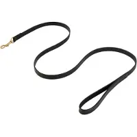 Br Dog Lead Hondenriem